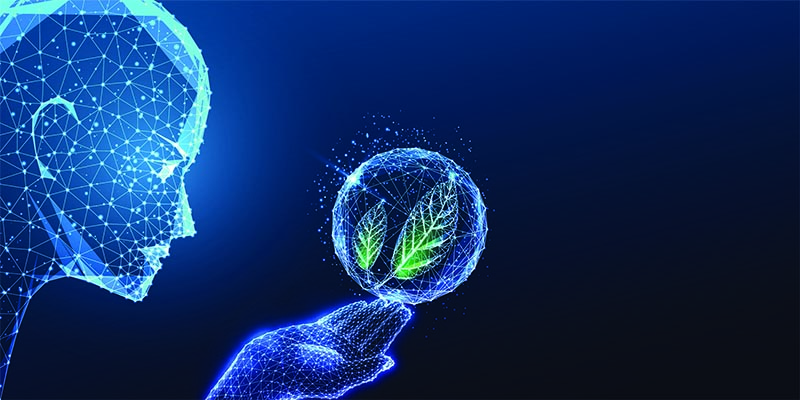 Professors contribute to international research linking biomimicry, AI ethics and sustainability